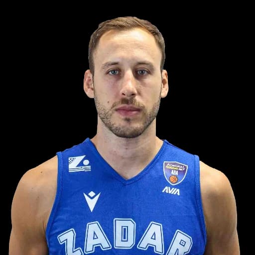 Vladimir Mihailović