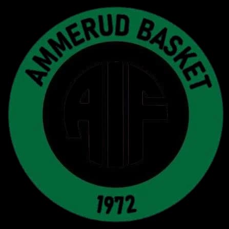 Ammerud BLNO crest