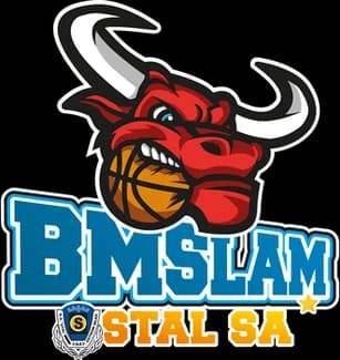 BM Stal