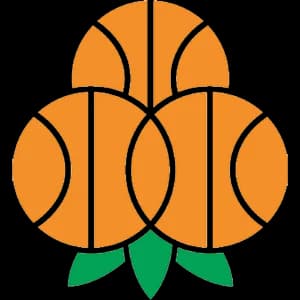UMEÅ BSKT crest