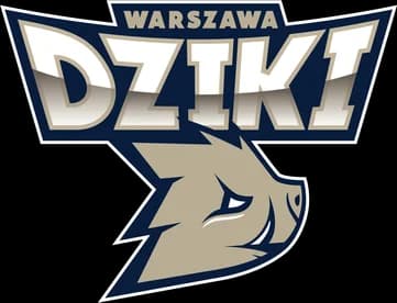 Dziki Warszawa